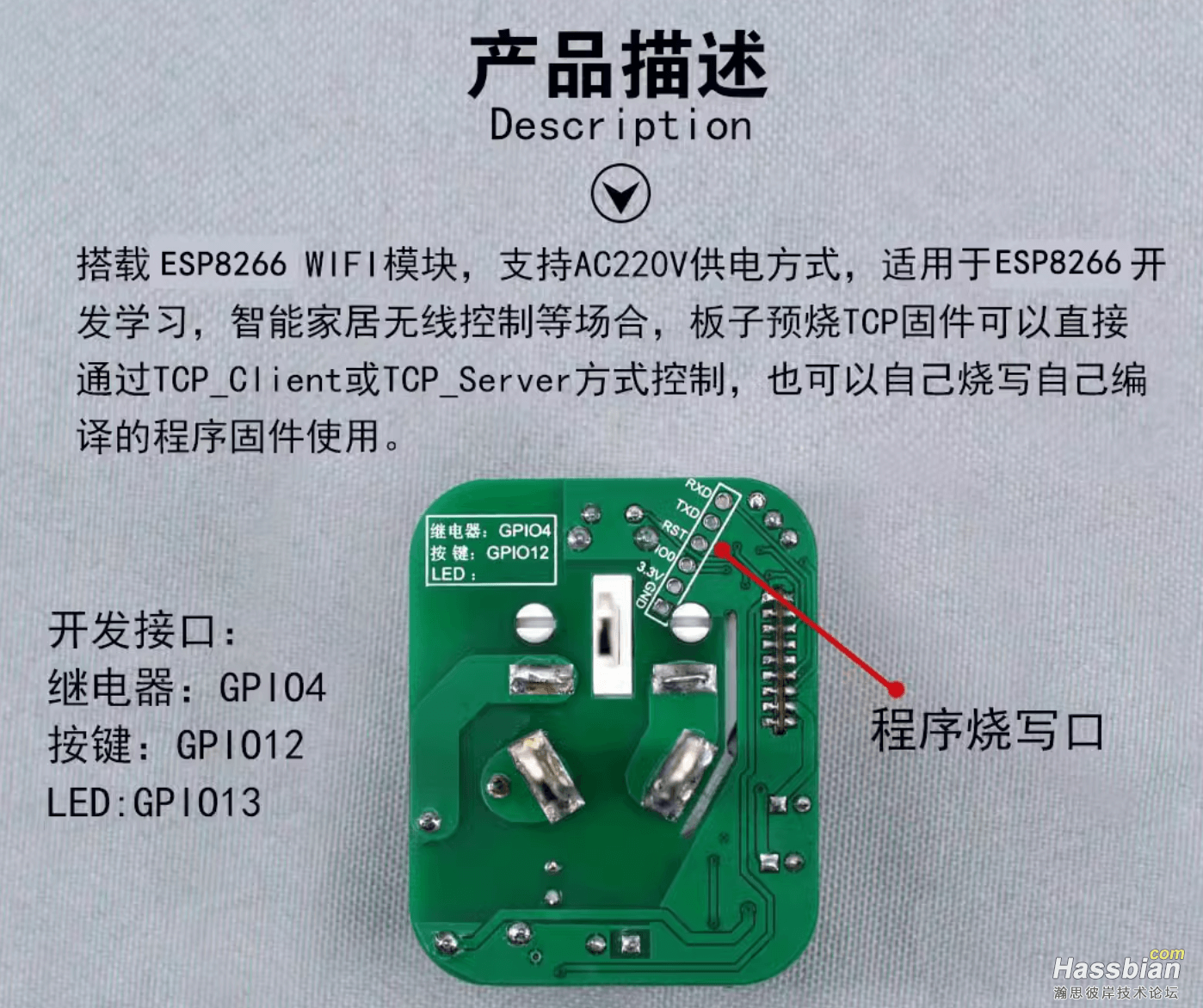 螢幕擷取畫面 2023-10-09 165139.png