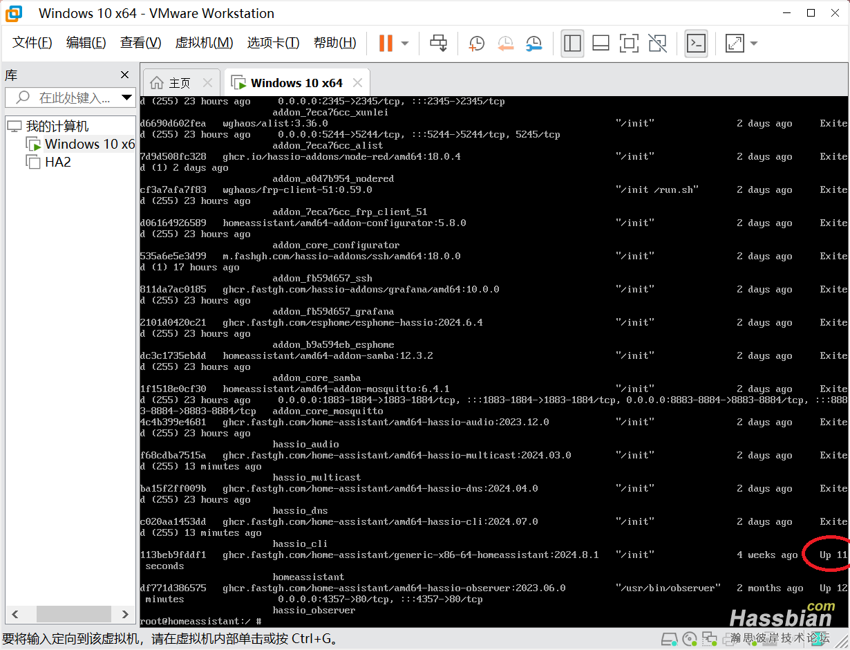 G.使用docker start homeassistant启动homeassistant