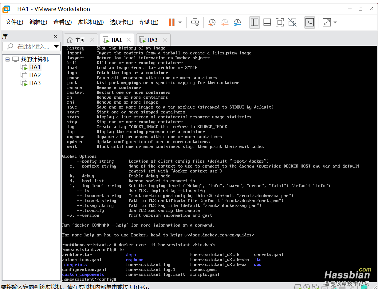 J.使用docker exec -it homeassistant 斜杠bin斜杠bash进入ha的config目录