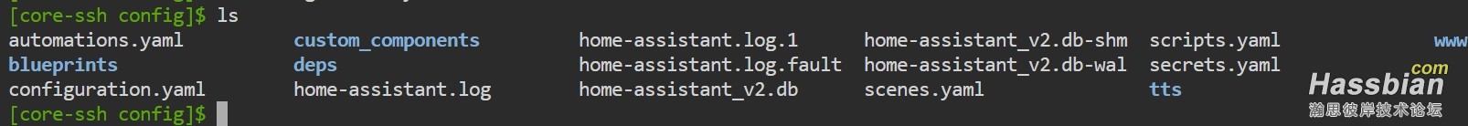 hass下的配置文件列表