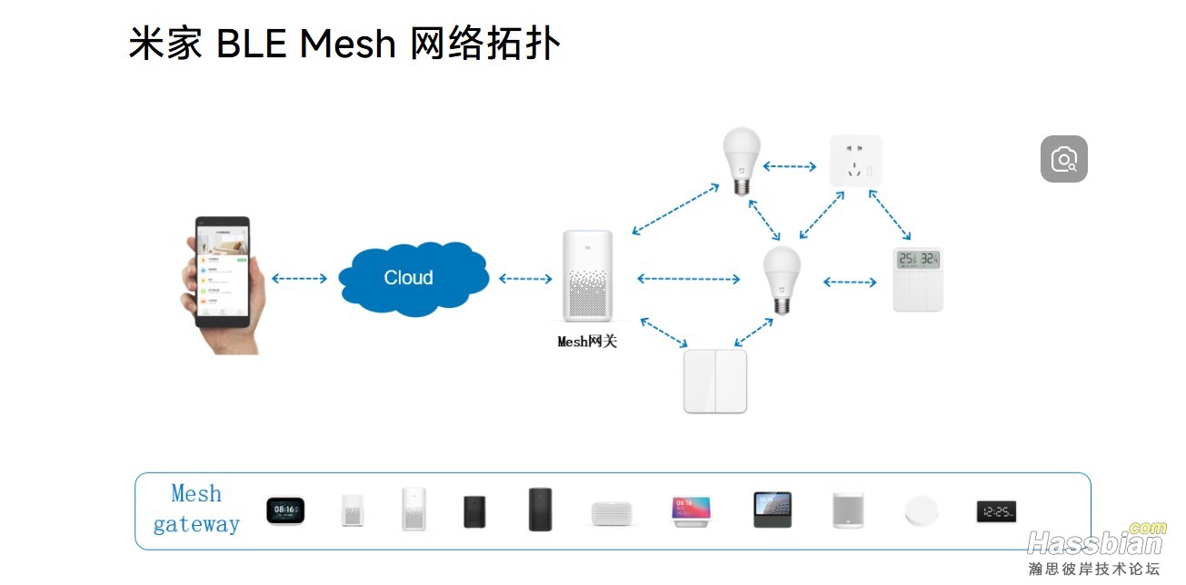 mesh.jpg