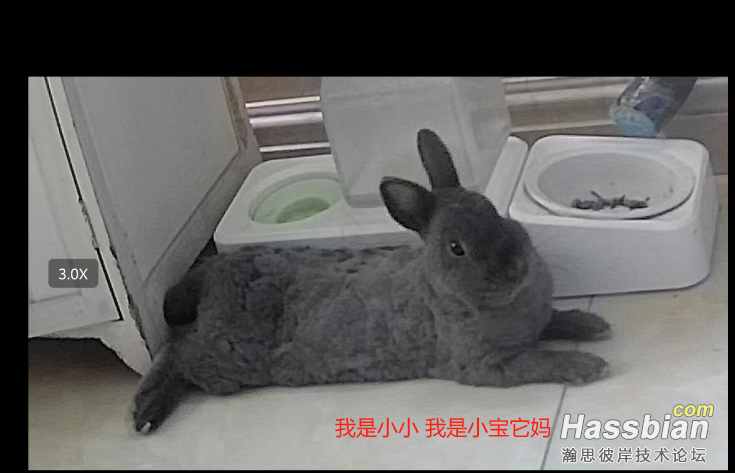 bd8ad3483554084c8cd0d07a5afb3a1.png