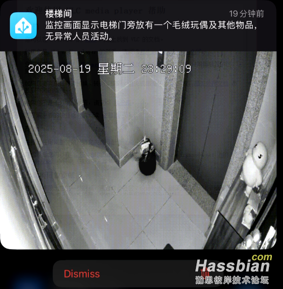 image 1.png