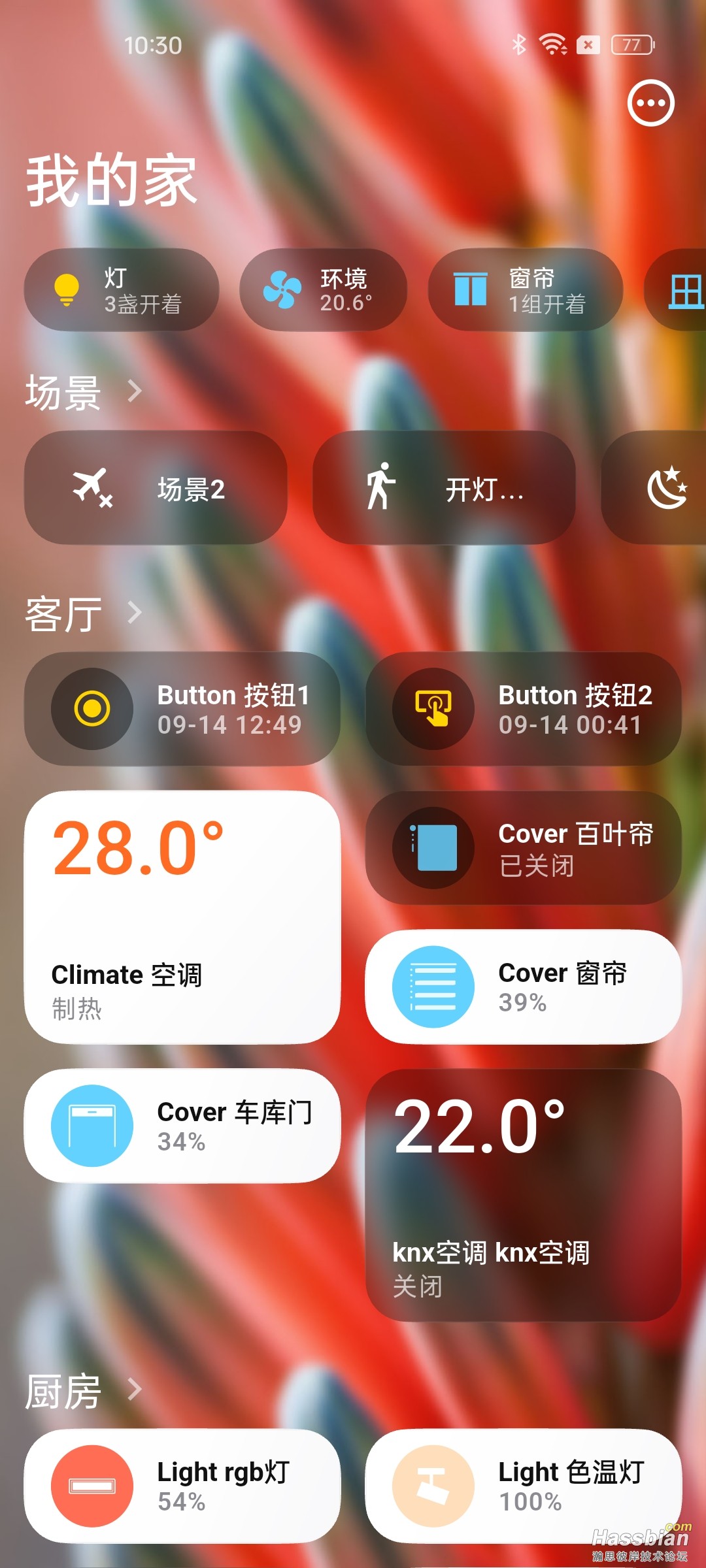 phone.jpg